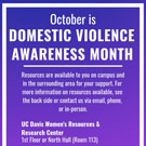 "DVAM Flier"