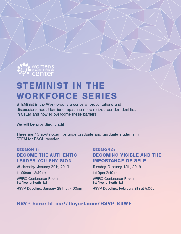 Steminist in the workforce